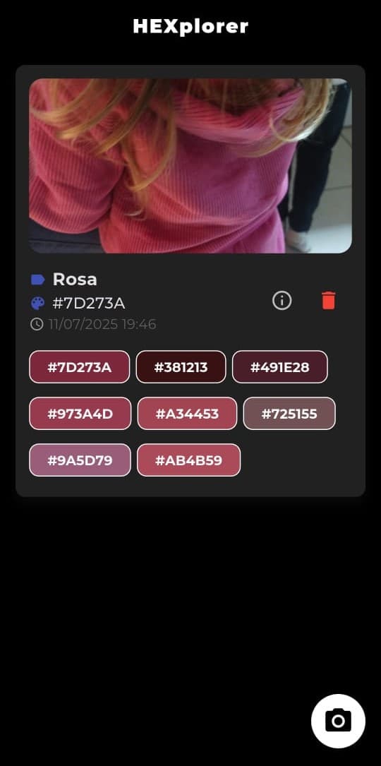 Print 1 do app HEXplorer